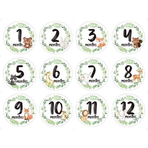 12 Pcs/Set Newborn Milestone Memorial Month Stickers Floral Baby Monthly Stickers Photography Commemorative Card Number M76C
