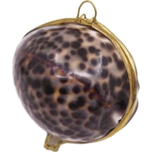 Oval Conch Shell Box Natural Black Mother of Pearl Jewelry Boxes 2.36" 60mm