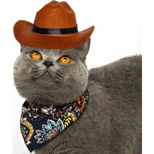 New Style Funny Pet Head Band Lovely Creative Funny Braid Cat Pet Headband for Photograph Props Cats Kitten Birthday Decor Toys