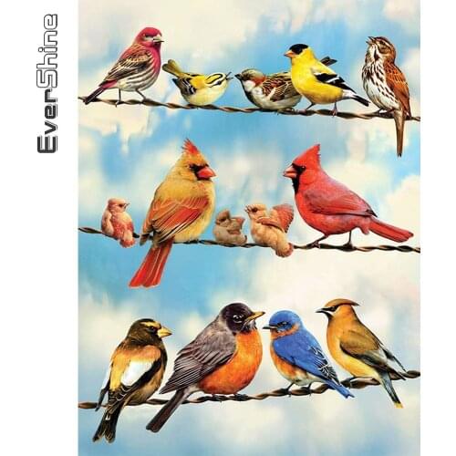 Evershine Diamond Mosaic Bird Picture Rhinestone Animal Diamond Painting Kit Full Square Round Drill Mosaic Embroidery Wall Art