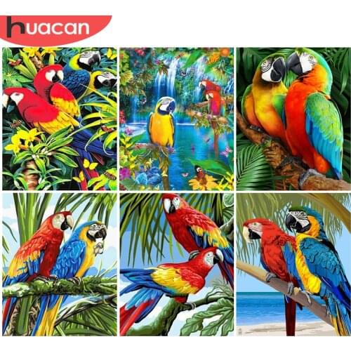 HUACAN Painting By Numbers Bird Animal Wall Art Acrylic Unique Gift On Canvas Picture By Numbers Flower For Living Room