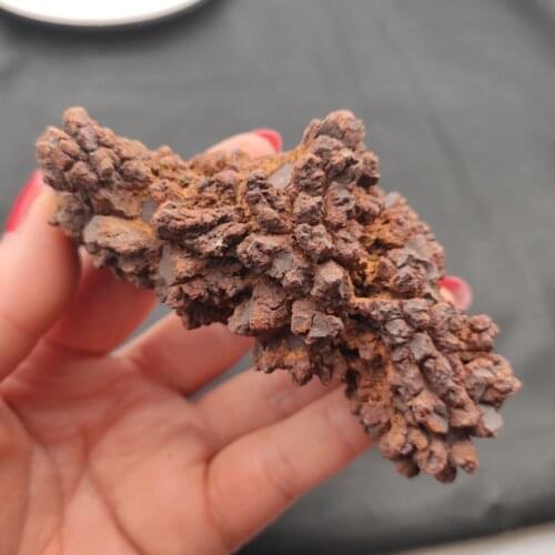 Rare prehistoric raw dinosaur dung fossil for decoration gift