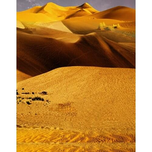 Gold Desert Photography Backdrops Photo Props Studio Background 5x7ft