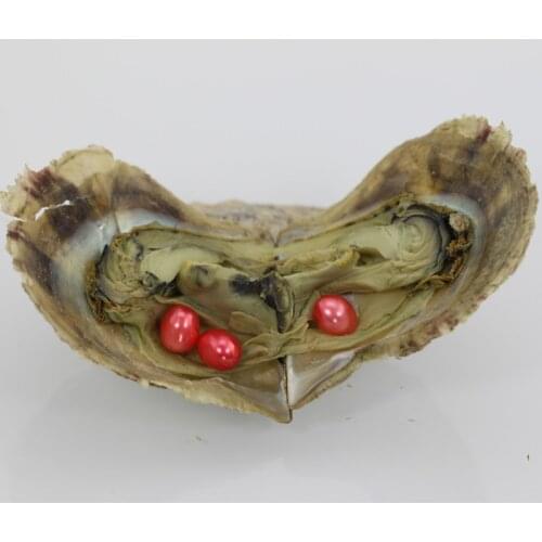 Red Pearls Triplets 6-7MM Rice Freshwater Pearls in Oysters with Vacuum Package For Women Jewelry 10pcs FP369