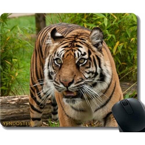 Mouse Pad Funny Customized,Tiger Predator Big Cat 182975 Mouse Pads With Stitched Edges