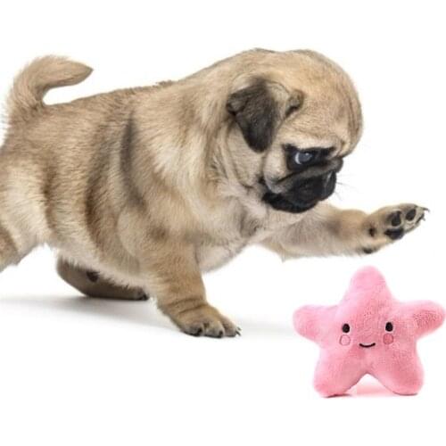1pc Bite-Resistant Dog Toy Creative Cartoon Plush Star Shape Pet Chew Toy Pet Squeaky Toys Pet Supplies Dog Favors