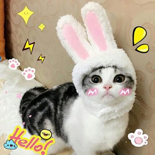 Cute Costume Bunny Rabbit Hat with Ears for Cats & Small Dogs Party Costume Halloween Accessory Headwear
