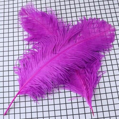 10 pcs Wholesale Dyed Various Real Ostrich Feather Wedding Home Vase Decoration Ornament 50-55 CM Long High Quality Craft Plumes