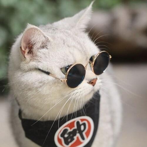 2020 Fashion Mini Cat Glasses Pet Quirky Pet Sunglasses Photo Prop Sunglasses Personality Accessories