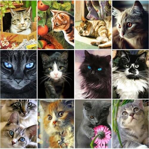 5D Diamond Painting Cat diamond embroidery Diamonds Picture animals cross stitch Diamond embroidery by photo Decor Gifts