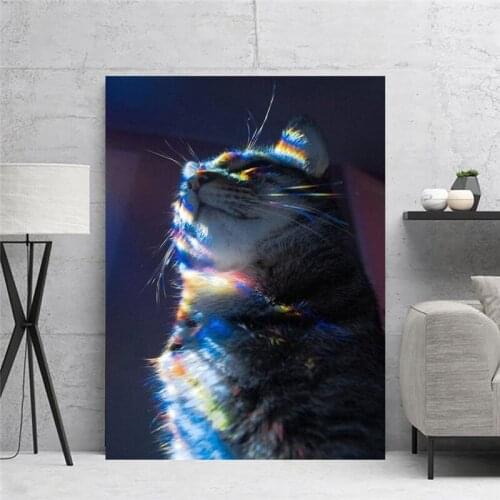 Canvas Wall Art Printed Pictures Rainbow Cat Poster Paintings Xute Animal 1 Panel Home Decoration Modular Living Room No Frame