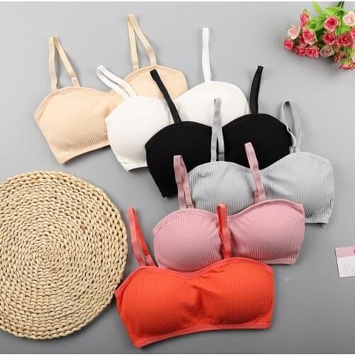 Elastic Padded Camis Women Tube Top Sexy Female Solid Full Cup Camisoles Beauty Back Wrapped Underwear