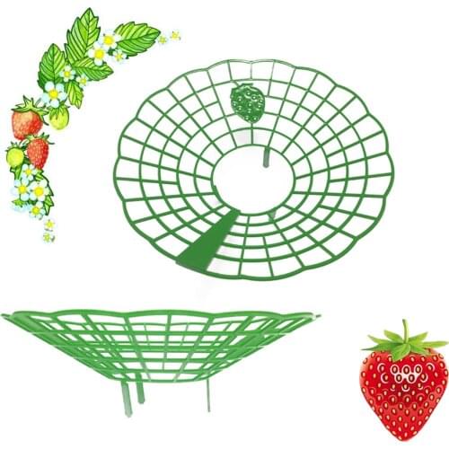 6pcs Strawberry Stand Frame Holder Balcony Planting Rack Fruit Support Plant Flower Climbing Vine Pillar Gardening Stand