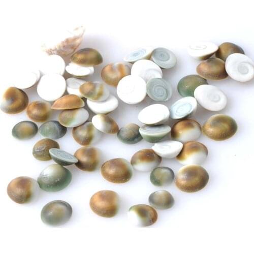 9-12mm Natural Spiral SeaShell Deniz Kabugu Flatback No hole Cabochons Craft Home Decoration Accessories 100pcs TRS0064