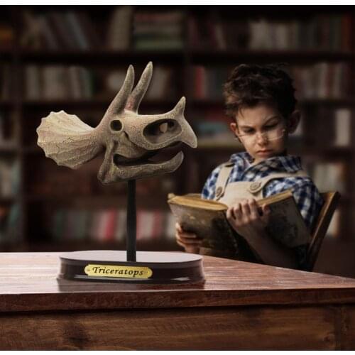 Kid Simulated Dig Excavation Dinosaur Head Skull Model Desktop Ornament Toy Gift