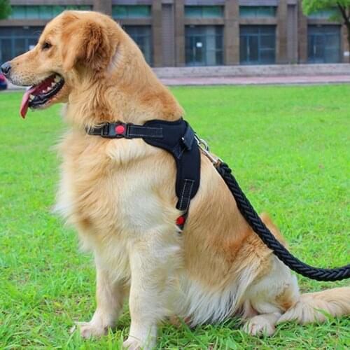 Chest Strap Reflective Breathable Nylon Pet Dog Harness for Puppy Rate Sensor Monitor Elastic Soft Strap Band Bluetooth Ant