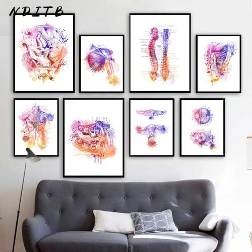 Abstract Human Anatomy Poster Spine Skeletal Muscle Organ Painting Canvas Print Medical Science Picture Home School Room Decor