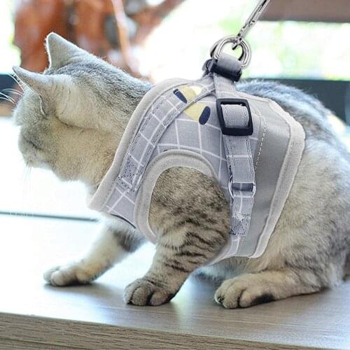 OIMG Collars For Cats