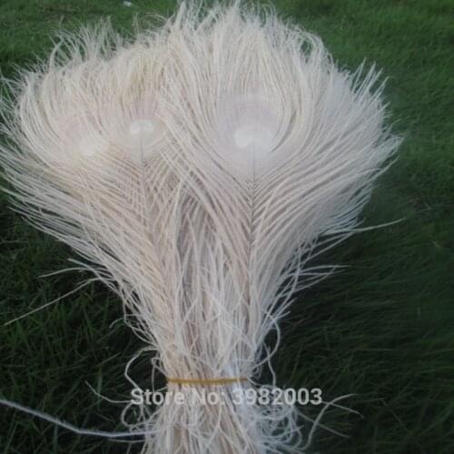 Wholesale 10pcs Beautiful white Peacock Feather Eye Length 10-12 inch/25-30 cm DIY Costume Hat Wedding Celebration Decoration