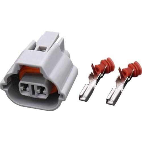 2 Pin Automotive wiring harness connector plug connector with Terminal DJ7027A-2.2-21