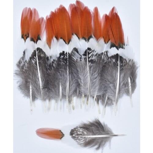 Natural Lady Amherst Pheasant Feathers for Crafts Feathers for Jewelry Making Decor Wedding Plume Decoration Carnaval Assesoires