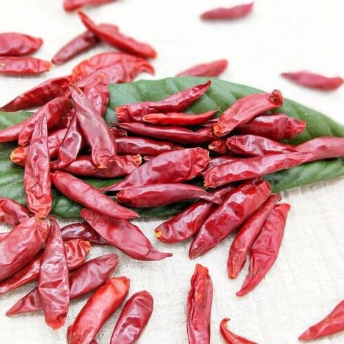 Dried Chilli is used as a seasoning for Cooking Spicy and Hot