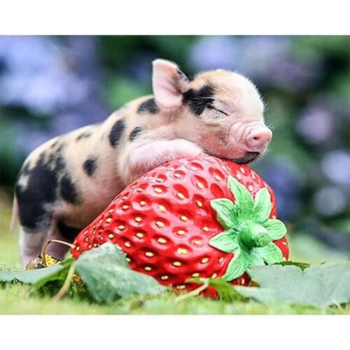 DIY Diamond Embroidery Strawberry Piglet Full Square Diamond Painting Sale Animal Cross Stitch Kit Mosaic Home Decor Wall Art