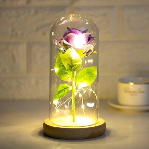 Beauty The Beast Artificial Eternal Rose LED Light In Glass Cover Christmas Home Decor for Mother Valentines Day New Year Gifts