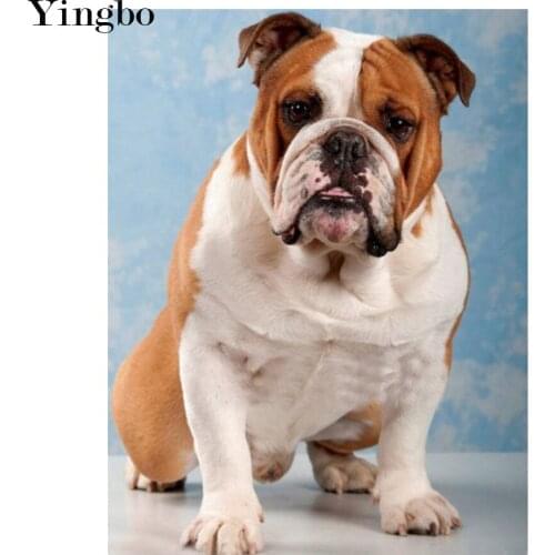 5D Diy Diamond Painting Diy Diamond Embroidery Mosaic France Bulldog Picture Cross Stitch Kit Full Square Drill Home Decor Gift