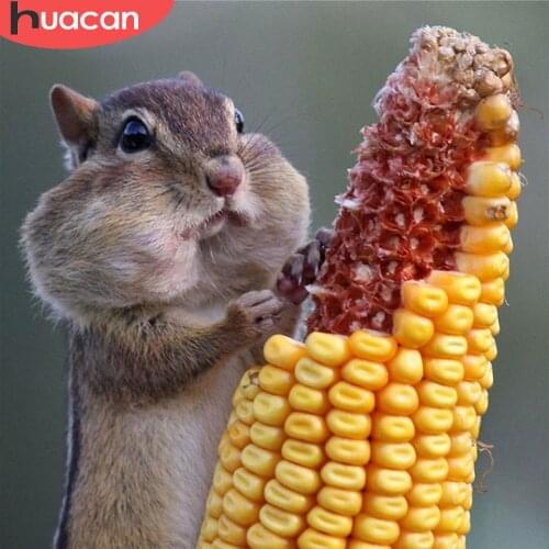 HUACAN 5d Diamond Painting Squirrel DIY Home Decor Full Square/Round Diamond Embroidery Animal Handmade Gift