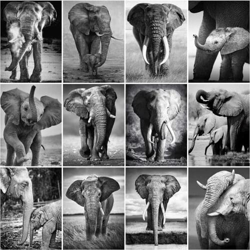 Evershine Black White Diamond Painting Full Square Round Drill Cross Stitch Diamond Embroidery Elephant Animal Mosaic Sale Craft