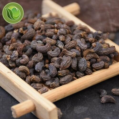 Nu Zhen Zi Nv Zhen Zi Ligustri Lucidi Fructus