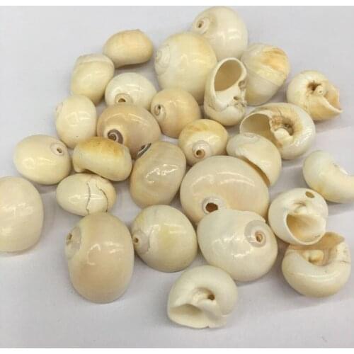 Natural shell fashion conch Pendants Charms Necklace pendant for Jewelry Making DIY Bracelet Necklaces Accessories Size 15x18mm