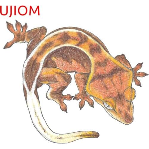 UJIOM Wall Stickers Cartoon Red Crested Gecko Wallpaper Decoration Waterproof Sticker Accessorie Room Home Decor Art PVC Decals