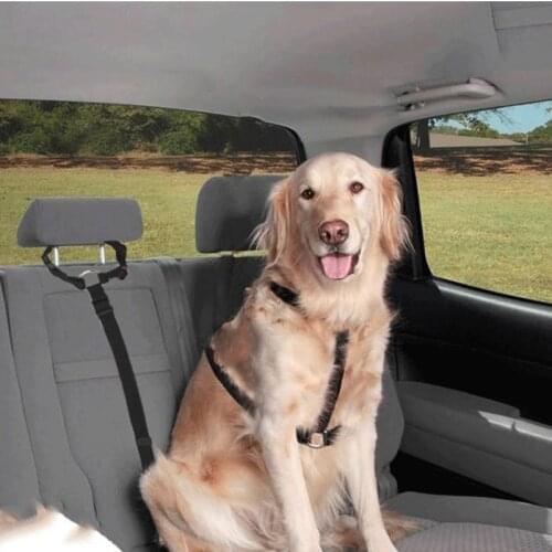 PUPRETTY Dog Carrying Bags