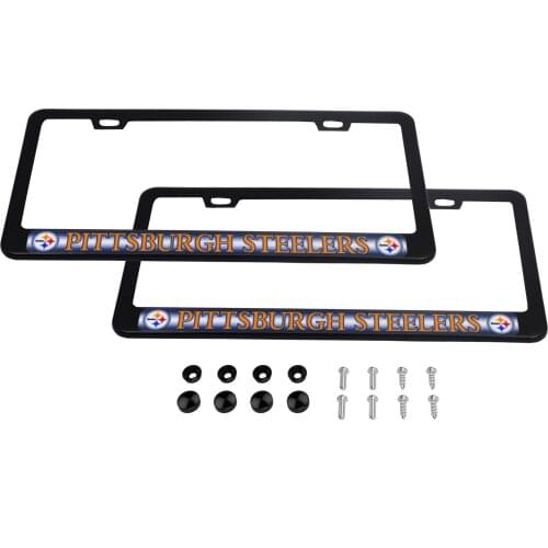 CARLANGEE 2 Pack Luxury Stainless Steel License Plate Frame and Colored Auto Emblem