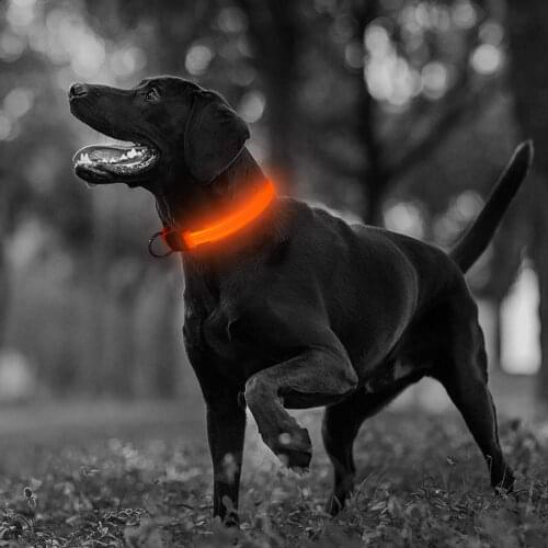 Night Safety Flashing Glow In The Dark dog Leash, Pet Collar Luminous for Dogs Cats Dog Accessories Dog Supplies