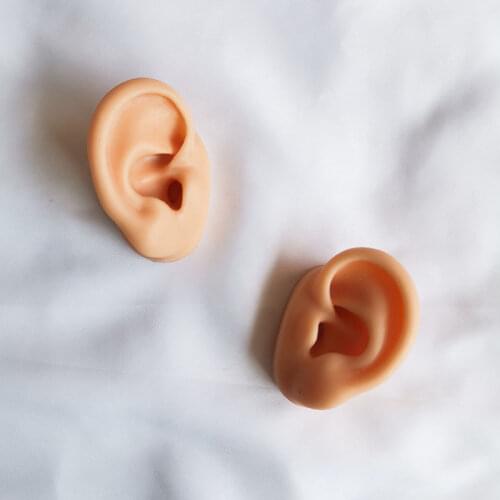 Ear model silicone ear acupuncture practice model right and left Teaching Resources modele oreille for medical science