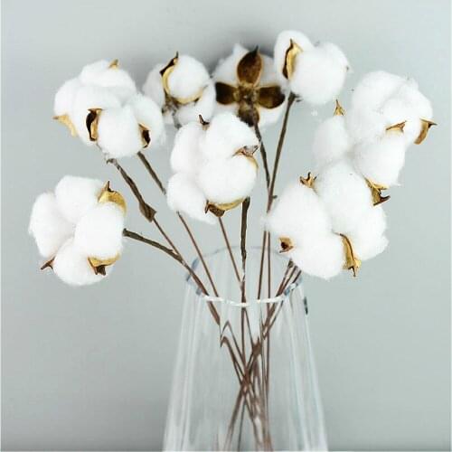 10pcs Naturally Dried Cotton Flowers White Home Decorative For Wedding Bridesmaid Bouquet Party Decor Fake White Flower