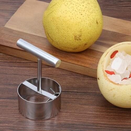 Sharp Stainless Steel Apples Core Coring Cutter Smooth Handle Fruit Core Pitter Remover Separator Effective Fruit Corer for Home