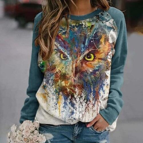 Autumn Cartoon Hoodie Women Long Sleeve Plus Size Hoodies Casual O-neck Painting Owl Sweatshirts 2021 Winter Outwear