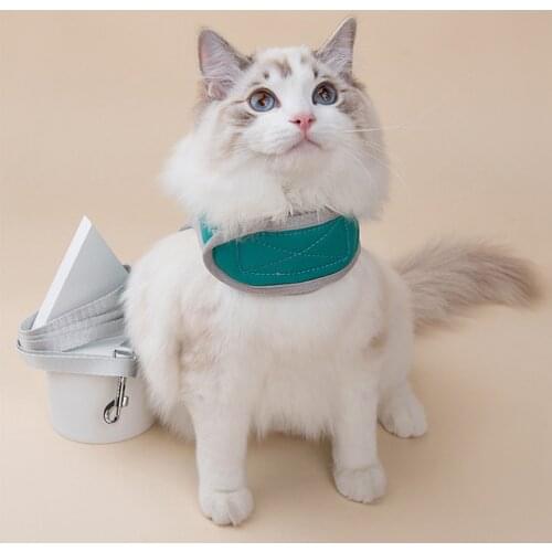 Pet Leash For Dog & Cat Running Or Training Collar Harness Lovely Clothes Dog Leash Nylon