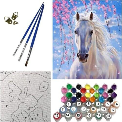 HANDMADE Paintings By Numbers On Canvas