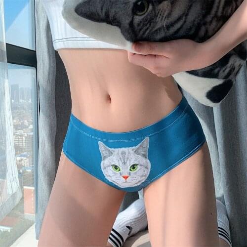 Sexy animal print lingerie pink kawaii underwear women cute menstrual period ladies panties briefs Sports Intimates panties hot