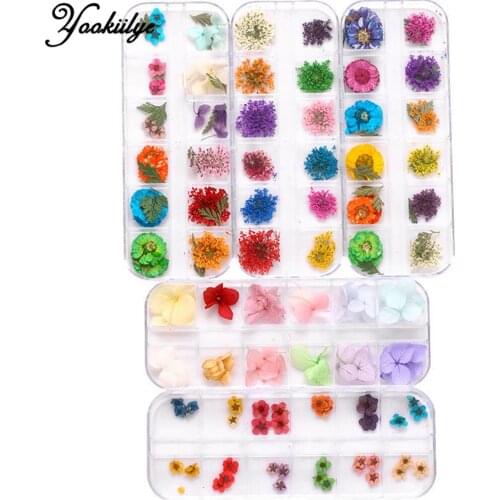 1 Box 3D Dried Flower Nail Decoration Natural Floral Sticker 6 Styles Mixed Dry Flower Nail Art Decorations for DIY Manicure