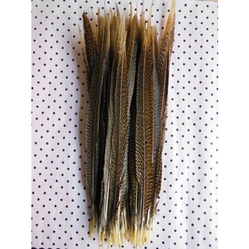 Wholesale 50 pcs/lot beautiful natural golden pheasant tail feathers 14-16 inch / 35-40 cm