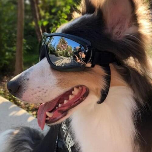 Dog Sunglasses Goggles UV Protection Wind Fog for Medium/Large Dog Protection Pet Glasses Eye Wear with Adjustable Strap