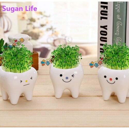Cute tooth pot vase creative ceramic cartoon tooth flower pot succulent flower pot home decoration crafts dental clinic gift toy
