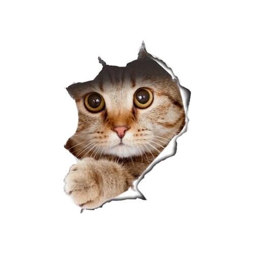 Funny 3D Animal Cats Kitten Gifts Microfibre Cat Lounger Beach Travel Towels Cat Pet Gym Towels Sport Surf Swimming Bath Towel