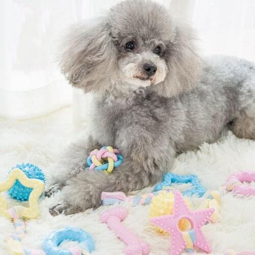 New Personalized Dog Toy Interactive Soft Rubber Pet Cat Chew Tooth Cleaning Toys For Small Dogs Chihuahua York Pug Pet Supplies